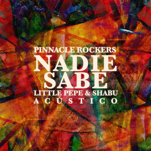 Nadie Sabe (Acústica)