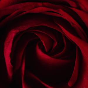 NITROUS (Piano Version)