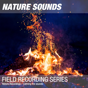 Nature Sounds for Sleep & Relaxation (Soothing campfire at night) 03