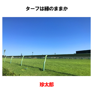 ターフは緑のままか