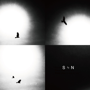 Narcose Narcosis