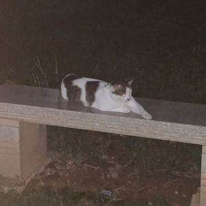 take me to the ocean