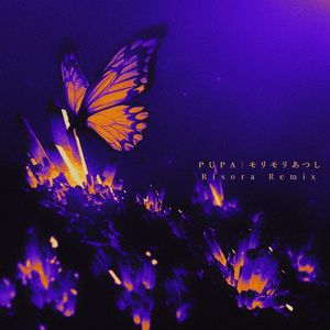 PUPA (Risora Remix)