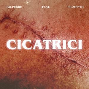 Cicatrici (feat. Pigmento)