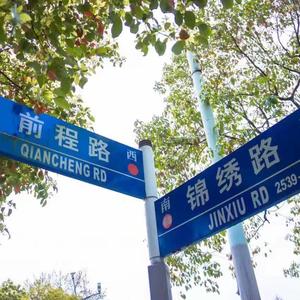 DMR 300（上海市实验学校2019年毕业主题曲）