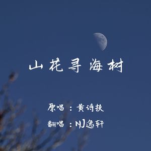 山花寻海树