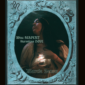 Wise serpent, harmless dove