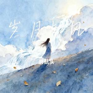 岁月如风