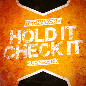 Hold It, Check It (Extended Mix)