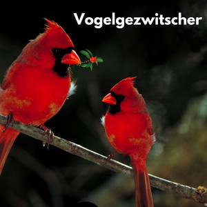 Der Frühling im Wald