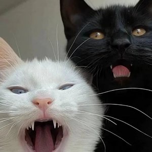 名可以冠 那人呢