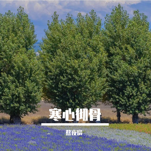 寒心彻骨