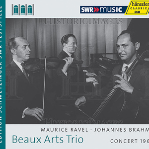 Piano Trio No. 1 in B Major, Op. 8:II. Scherzo: Allegro molto - Trio