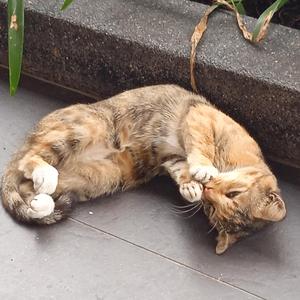 等啦啦啦啦等啦啦啦啦啦