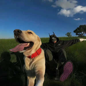 Wild and Alive / 肆意燃烧