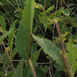 这个世界上真的没有那么多的人在乎你