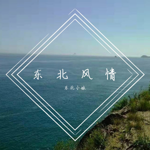 东北小妹助眠纯音乐