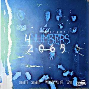 DPWM (2065NIDDY PAYDAY)