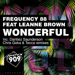 Wonderful (Chris Geka & Tecca Remix)