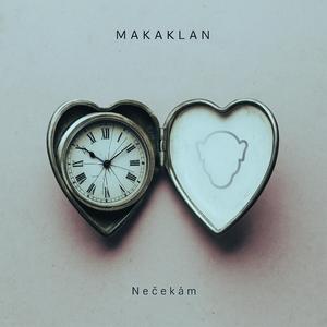 Nečekám (feat. Petr Bartoněk)
