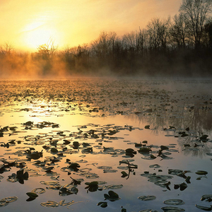 我听到传来的谁的声音
