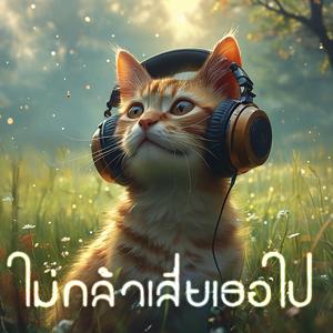 ไม่กล้าเสียเธอไป