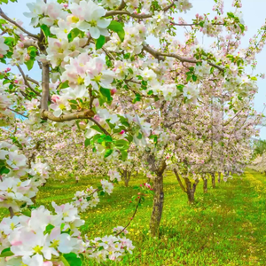 beauty_20230815004849_20230815_005439