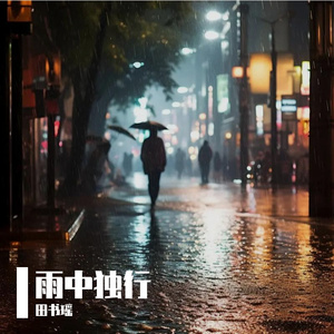 雨中独行