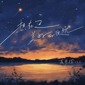 想在这美好的夜晚