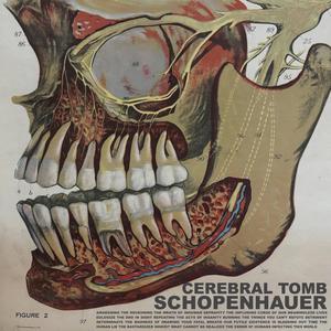 Schopenhauer