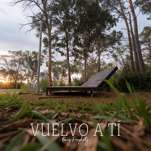 Vuelvo A TÍ