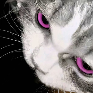 He Said I’m Bad1.2