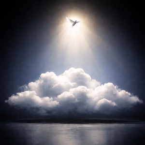 Soaring