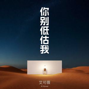 你别低估我