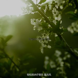 温和泰式按摩梦想