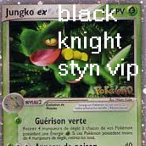 Black Knight (Styn VIP)
