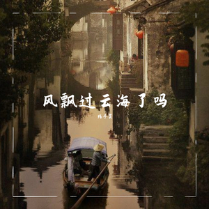 风飘过云海了吗（抖音版）