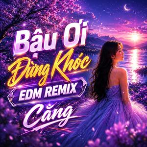 Bậu Ơi Đừng Khóc (Bolero Remix)
