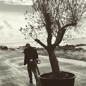 Fantorama (feat. Veyle)