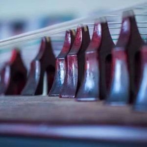 琵琶语（古筝）