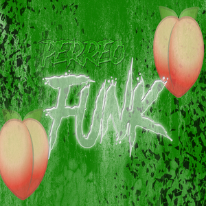 PERREO FUNK - VERANO 2024