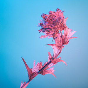 Schubert : 4 Impromptus No.1 In C Minor Op.90 D.899 - Allegro Molto Moderato