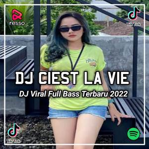 DJ CIEST LA VIE STYLE THAILAND VIRAL TIKTOK