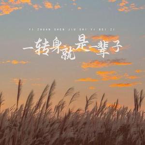 一转身就是一辈子 (Cover 大头针 Official & 是小汪同学)