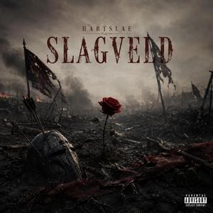 Slagveld