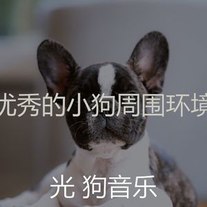 一尘不染小狗印象数