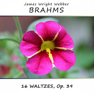 16 Waltzes, Op. 39: No. 11 in B Minor