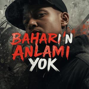 Baharın Anlamı Yok