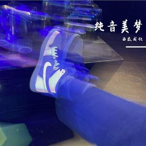 遗失在树下的梦