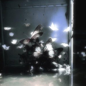 【欢迎进入梦魇直播间】主题曲《Believer》—大C